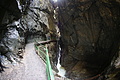 DSC09578 - Bernhard Saalfeld