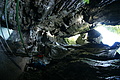 DSC09596 - Bernhard Saalfeld