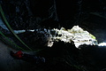 DSC09606 - Bernhard Saalfeld