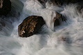 DSC09614 - Bernhard Saalfeld