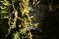 DSC09616 - Bernhard Saalfeld