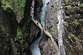 DSC09620 - Bernhard Saalfeld