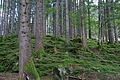 DSC09625 - Bernhard Saalfeld