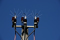 DSC09635 - Bernhard Saalfeld