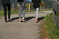 DSC09636 - Bernhard Saalfeld