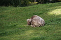DSC09637 - Bernhard Saalfeld