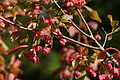 DSC09638 - Bernhard Saalfeld