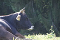 DSC09639 - Bernhard Saalfeld