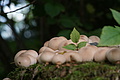 DSC09640 - Bernhard Saalfeld