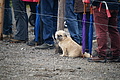 DSC09728 - Bernhard Saalfeld