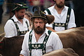 DSC09730 - Bernhard Saalfeld