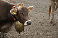 DSC09742 - Bernhard Saalfeld