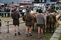 DSC09752 - Bernhard Saalfeld