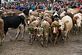 DSC09760 - Bernhard Saalfeld