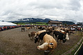 DSC09762 - Bernhard Saalfeld