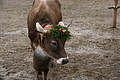 DSC09764 - Bernhard Saalfeld