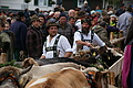 DSC09766 - Bernhard Saalfeld