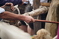 DSC09774 - Bernhard Saalfeld
