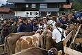 DSC09783 - Bernhard Saalfeld