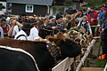 DSC09784 - Bernhard Saalfeld