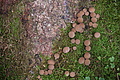 DSC09790 - Bernhard Saalfeld