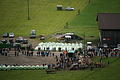 DSC09792 - Bernhard Saalfeld