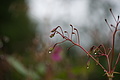 DSC09818 - Bernhard Saalfeld