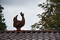 DSC09838 - Bernhard Saalfeld