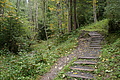 DSC09841 - Bernhard Saalfeld