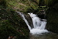 DSC09843 - Bernhard Saalfeld