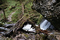 DSC09846 - Bernhard Saalfeld