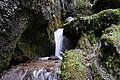 DSC09847 - Bernhard Saalfeld