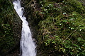 DSC09849 - Bernhard Saalfeld