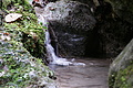 DSC09851 - Bernhard Saalfeld