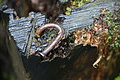 DSC09853 - Bernhard Saalfeld
