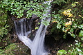 DSC09854 - Bernhard Saalfeld