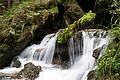 DSC09859 - Bernhard Saalfeld