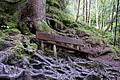 DSC09860 - Bernhard Saalfeld