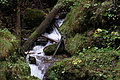 DSC09863 - Bernhard Saalfeld