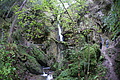 DSC09867 - Bernhard Saalfeld