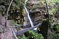DSC09869 - Bernhard Saalfeld