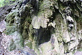 DSC09875 - Bernhard Saalfeld