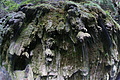 DSC09881 - Bernhard Saalfeld