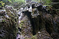 DSC09890 - Bernhard Saalfeld