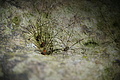 DSC09893 - Bernhard Saalfeld
