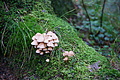 DSC09907 - Bernhard Saalfeld