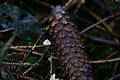 DSC09915 - Bernhard Saalfeld