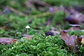 DSC09916 - Bernhard Saalfeld