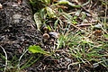 DSC09920 - Bernhard Saalfeld