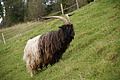 DSC09936 - Bernhard Saalfeld